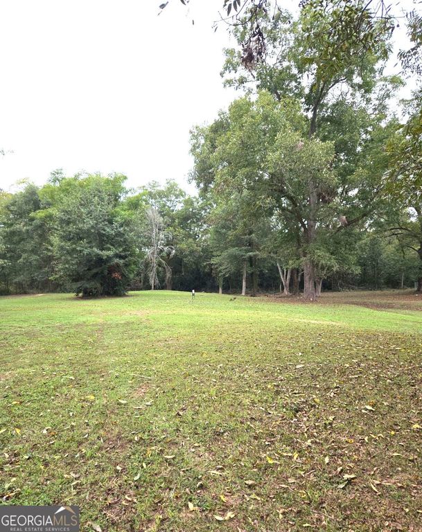 319 Powell Drive, Jackson, GA 30233 — photo 5