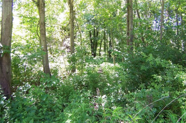 2579 Daansen Rd, Palmyra, NY 14522