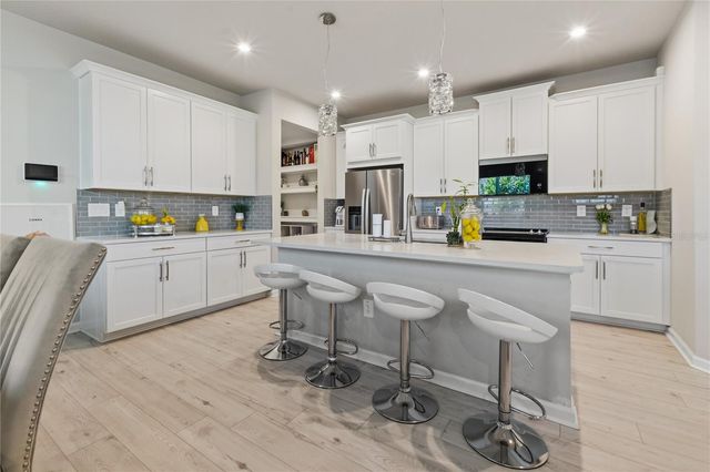 4062 CLOUD HOPPER WAY, Lutz, FL 33559