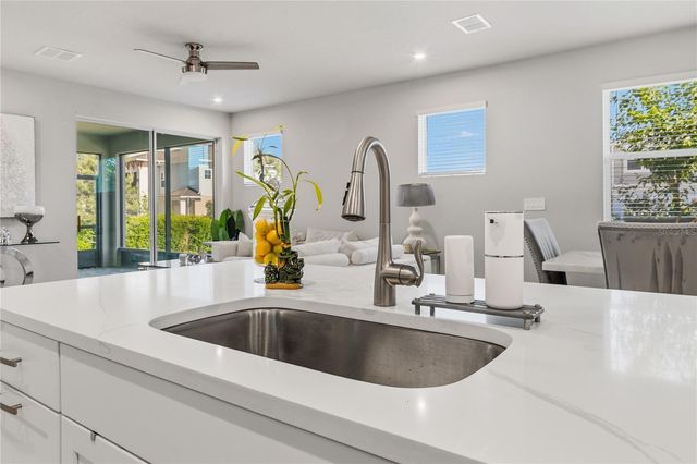 4062 CLOUD HOPPER WAY, Lutz, FL 33559