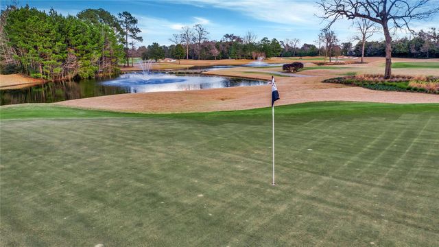 119 Mayhaven Court, Montgomery, TX 77316