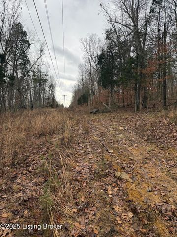 0 Rockledge Rd, Falls Of Rough, KY 40119