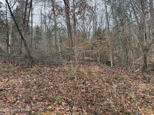 0 Rockledge Rd, Falls Of Rough, KY 40119