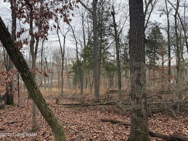 0 Rockledge Rd, Falls Of Rough, KY 40119