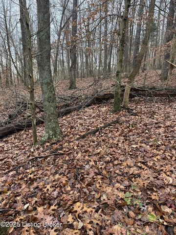 0 Rockledge Rd, Falls Of Rough, KY 40119