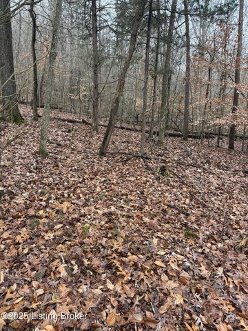 0 Rockledge Rd, Falls Of Rough, KY 40119