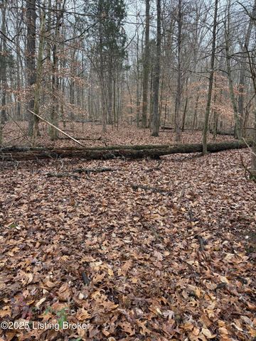 0 Rockledge Rd, Falls Of Rough, KY 40119