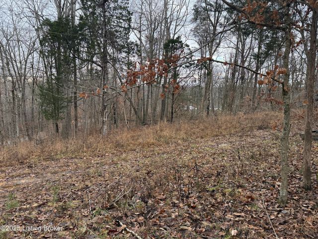 0 Rockledge Rd, Falls Of Rough, KY 40119