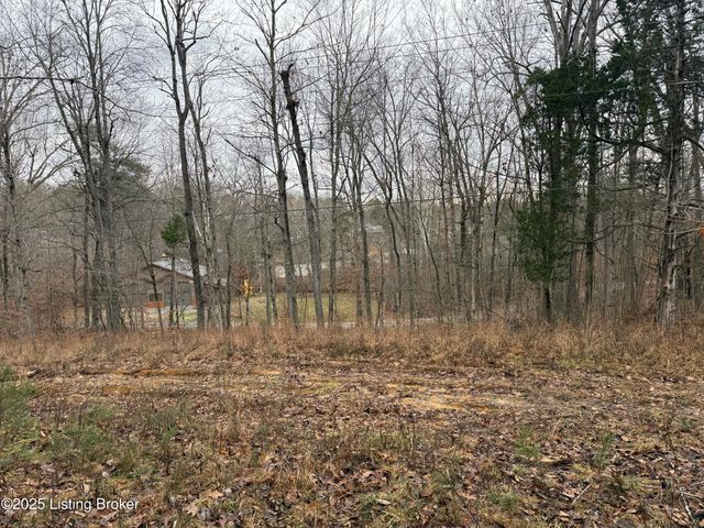 0 Rockledge Rd, Falls Of Rough, KY 40119