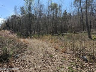 0 Rockledge Rd, Falls Of Rough, KY 40119