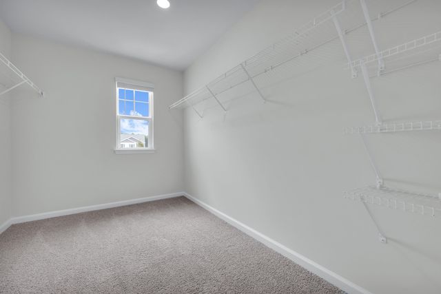 8039 Precious Court, Ravenel, SC 29470