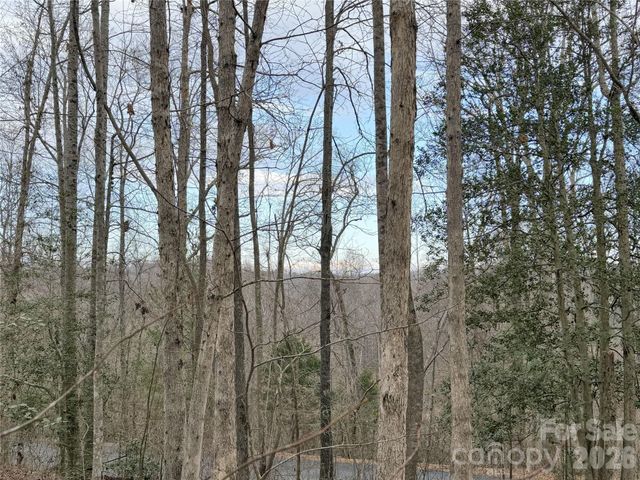 0000 E Rambling Creek Drive 26, Tryon, NC 28782