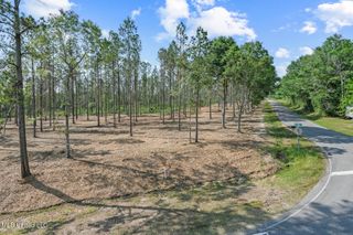 Nhn Ramsey Road, Saucier, MS 39574
