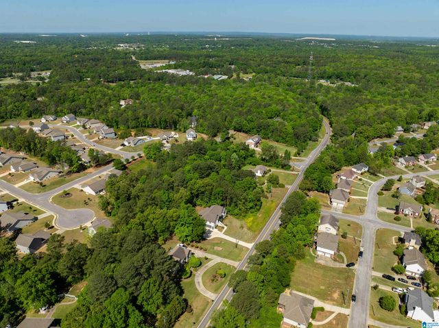 458 HIGHWAY 306, Calera, AL 35040