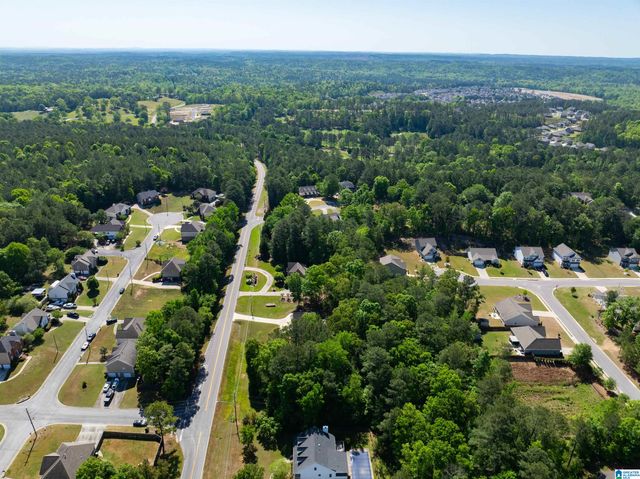 458 HIGHWAY 306, Calera, AL 35040