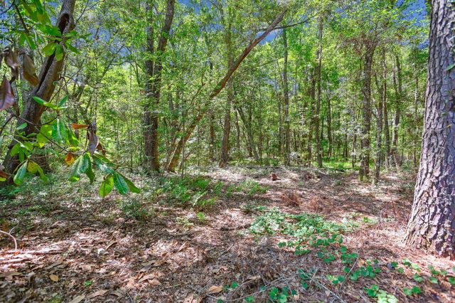 2458 Audette Avenue, Johns Island, SC 29455