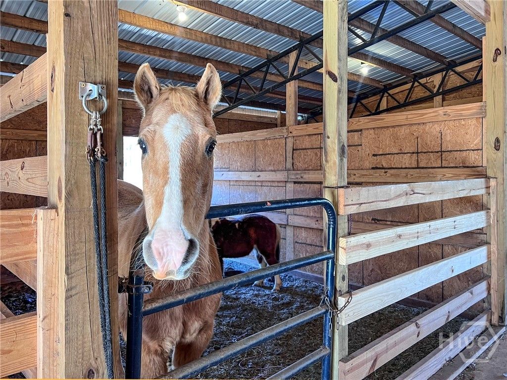 Image 63 of property listing at 1081 Apalachee Ridge, Madison, GA 30650