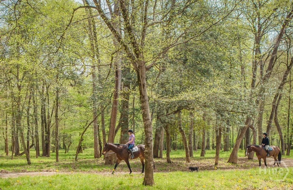 Image 73 of property listing at 1081 Apalachee Ridge, Madison, GA 30650