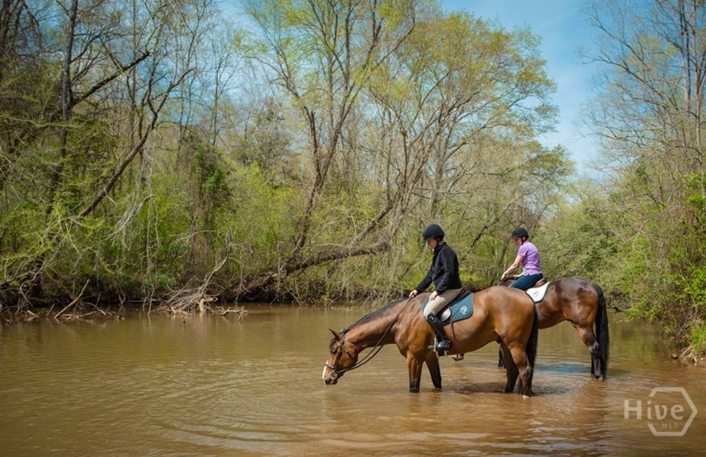 Image 75 of property listing at 1081 Apalachee Ridge, Madison, GA 30650