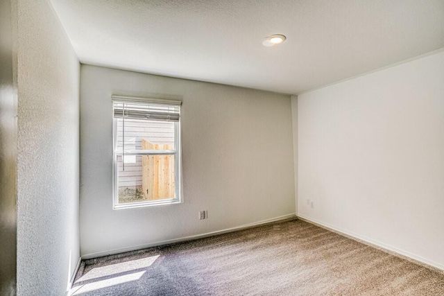 15231 Abella Drive, Conroe, TX 77316