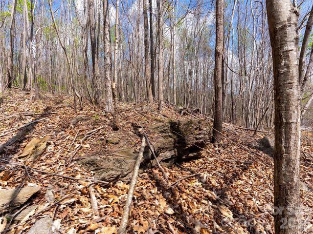 Lot 196 Cherry Hill 196, Mill Spring, NC 28756