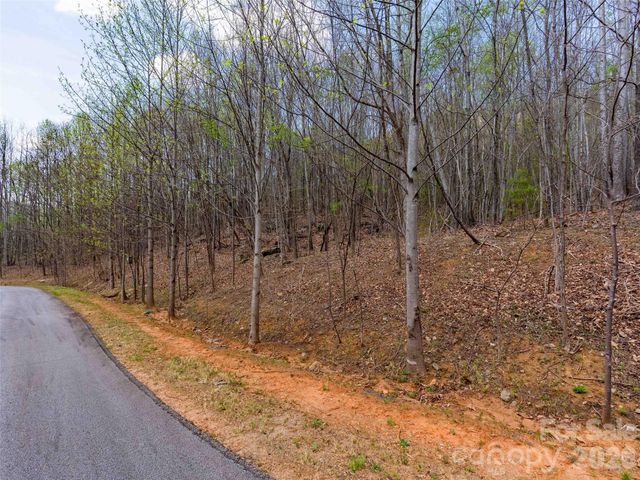 Lot 196 Cherry Hill 196, Mill Spring, NC 28756