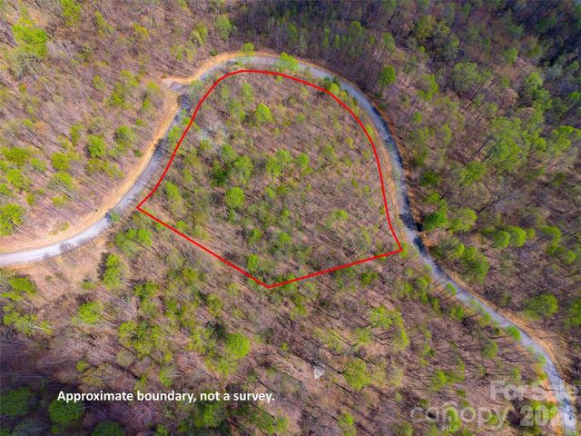 Lot 196 Cherry Hill 196, Mill Spring, NC 28756