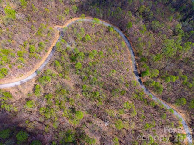 Lot 196 Cherry Hill 196, Mill Spring, NC 28756