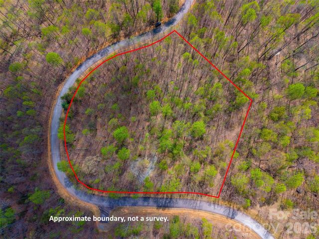 Lot 196 Cherry Hill 196, Mill Spring, NC 28756
