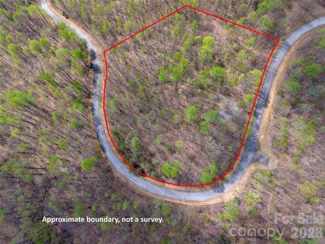 Lot 196 Cherry Hill 196, Mill Spring, NC 28756