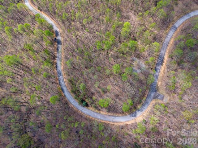 Lot 196 Cherry Hill 196, Mill Spring, NC 28756