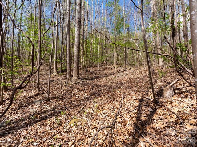 Lot 196 Cherry Hill 196, Mill Spring, NC 28756