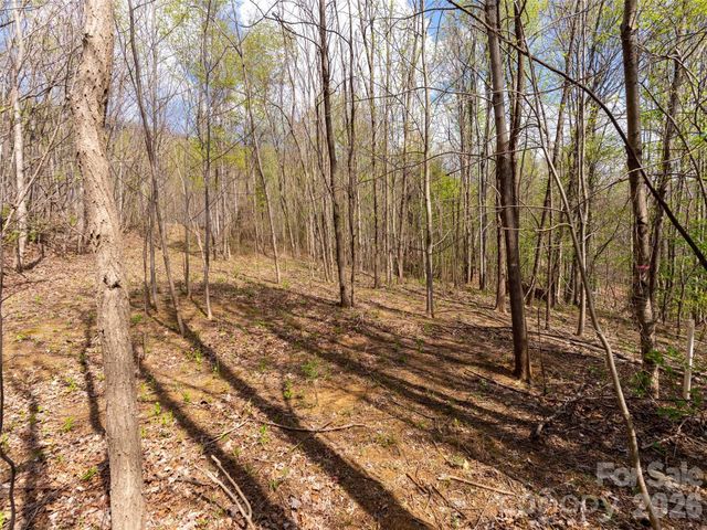 Lot 196 Cherry Hill 196, Mill Spring, NC 28756