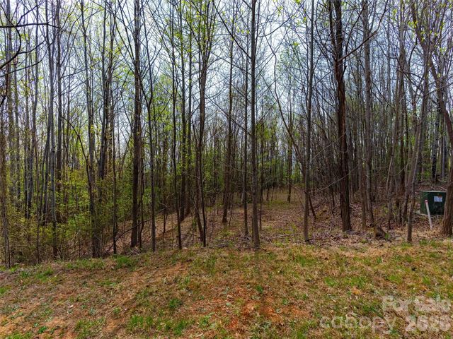 Lot 196 Cherry Hill 196, Mill Spring, NC 28756