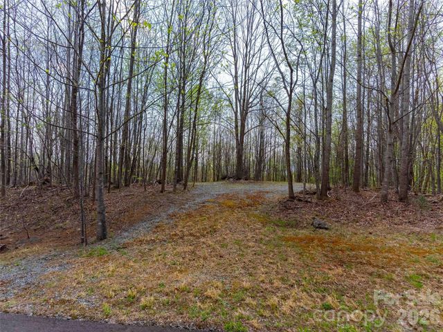 Lot 196 Cherry Hill 196, Mill Spring, NC 28756