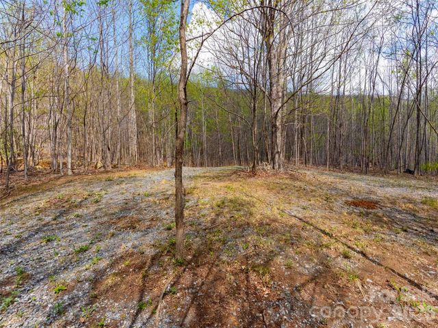 Lot 196 Cherry Hill 196, Mill Spring, NC 28756