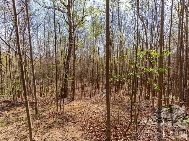Lot 196 Cherry Hill 196, Mill Spring, NC 28756
