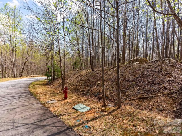 Lot 196 Cherry Hill 196, Mill Spring, NC 28756