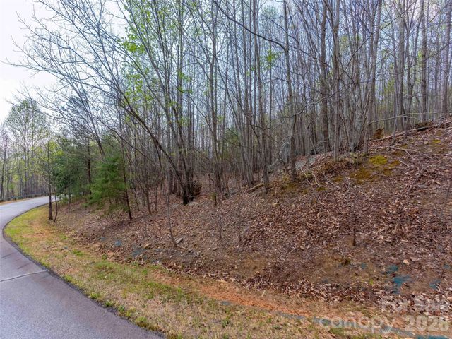 Lot 196 Cherry Hill 196, Mill Spring, NC 28756