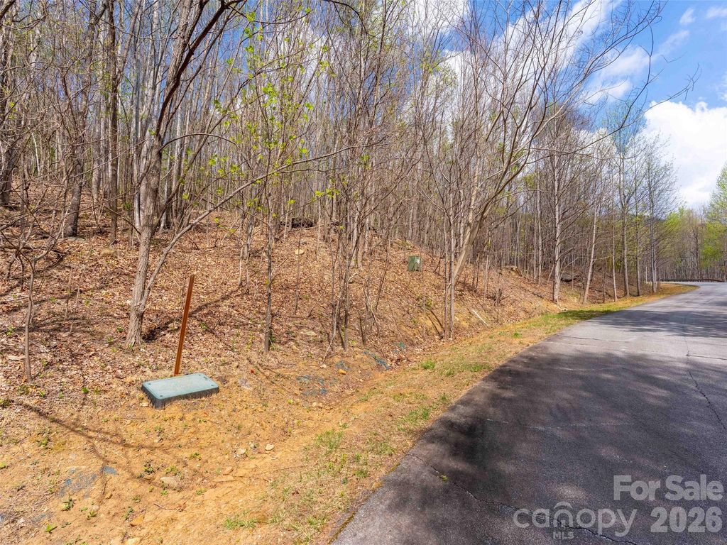 Lot 196 Cherry Hill 196, Mill Spring, NC 28756