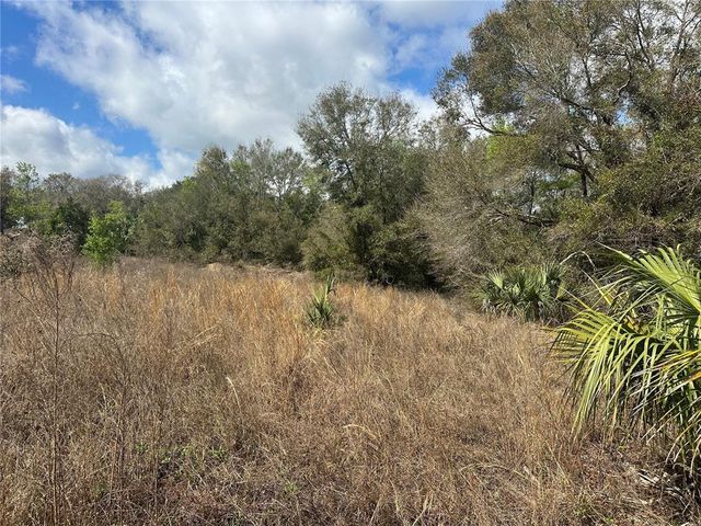 S LAKE HIAWATHA DRIVE, Lady Lake, FL 32159