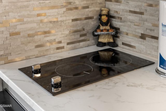 354 E Holly Ridge Road, Gatlinburg, TN 37738