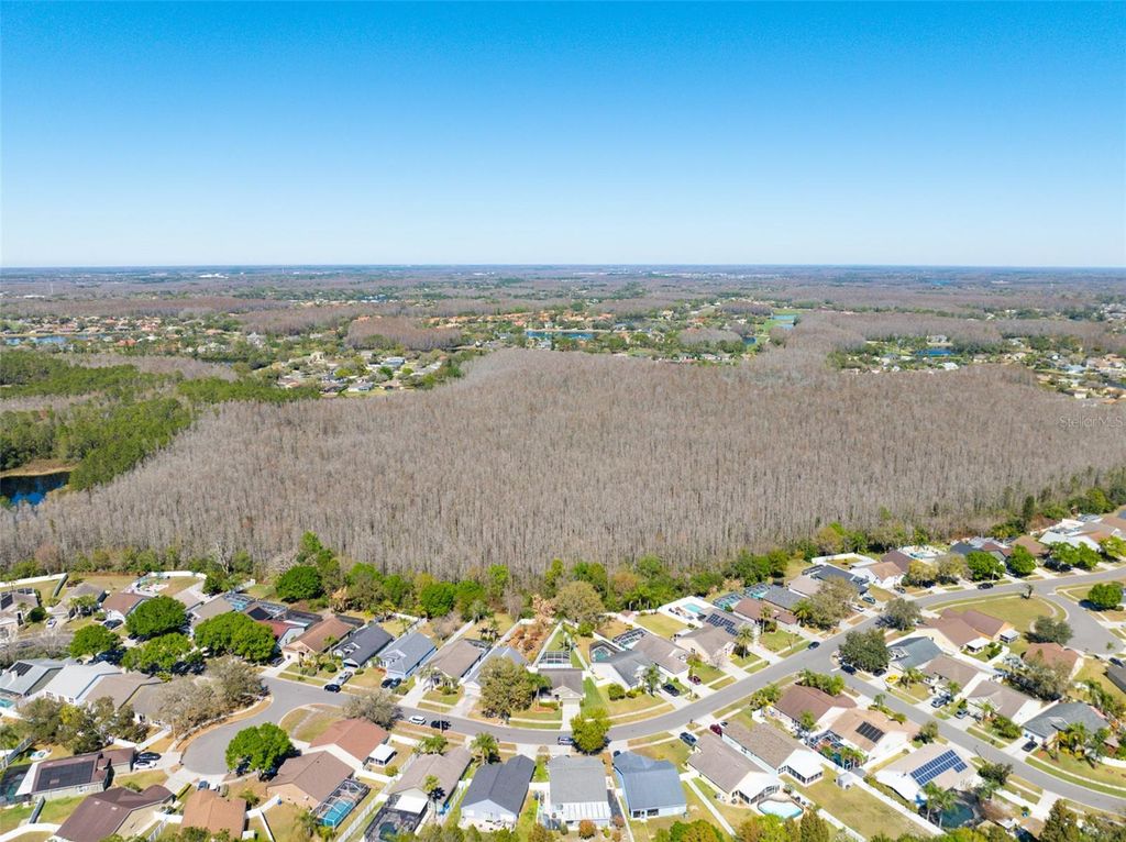 Image 36 of property listing at 4511 GULFWINDS DRIVE, Lutz, FL 33558