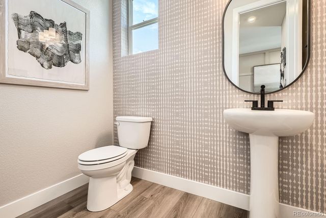 13796 Daffodil Point, Parker, CO 80134