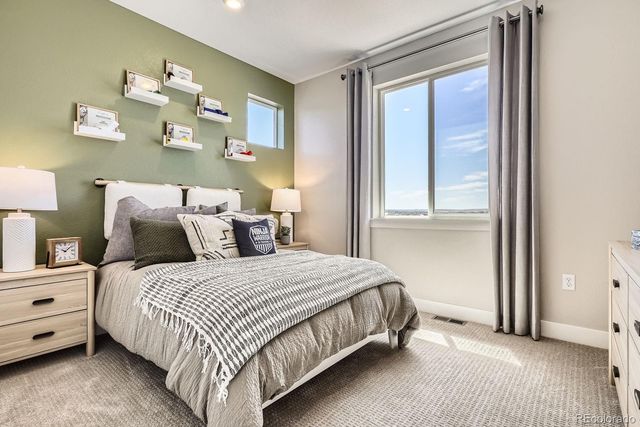 13796 Daffodil Point, Parker, CO 80134