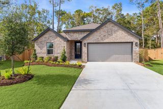 8206 Boundary Waters Drive, Porter, TX 77365