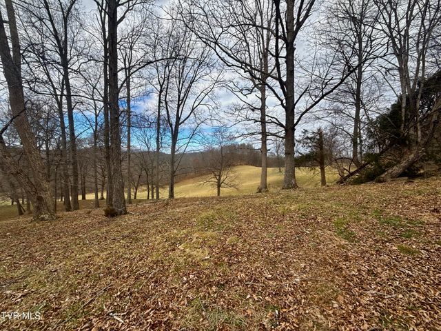 219 Ridge Road, Eidson, TN 37731