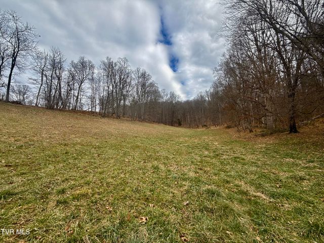 219 Ridge Road, Eidson, TN 37731