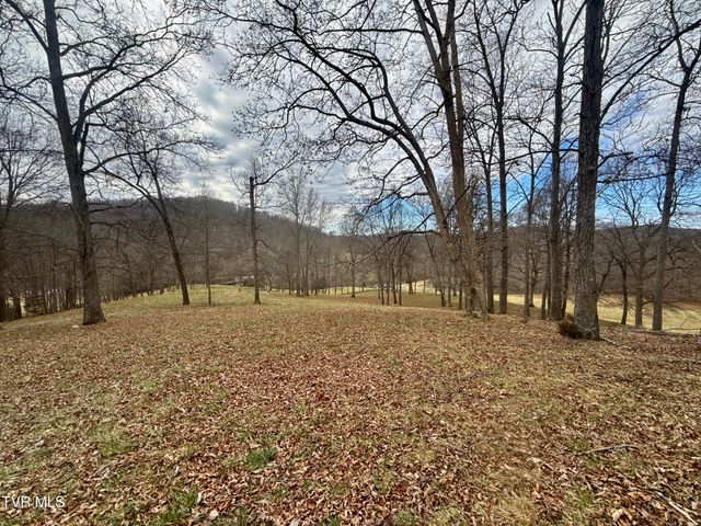 219 Ridge Road, Eidson, TN 37731