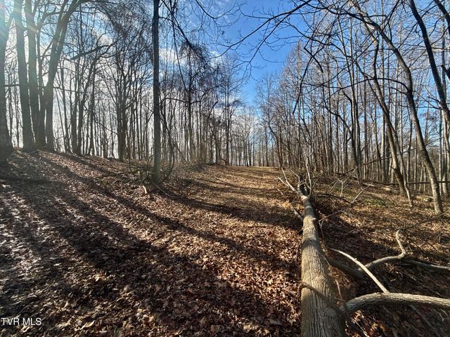 219 Ridge Road, Eidson, TN 37731